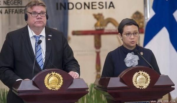 Indonesia học tập Phần Lan dùng đất than bùn hạn chế cháy rừng
