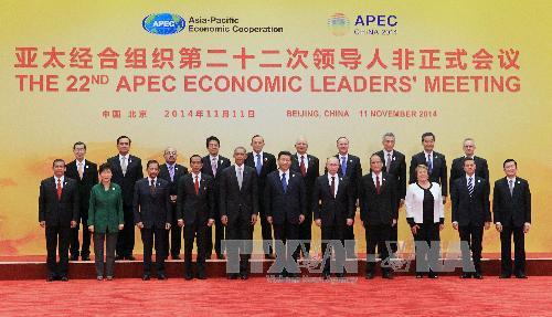 Việt Nam phát huy vai trò tích cực trong APEC