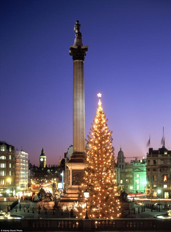 Quảng trường Trafalgar, London, được thắp sáng bởi món quà Giáng sinh từ Na-uy là cây thông lung linh này.