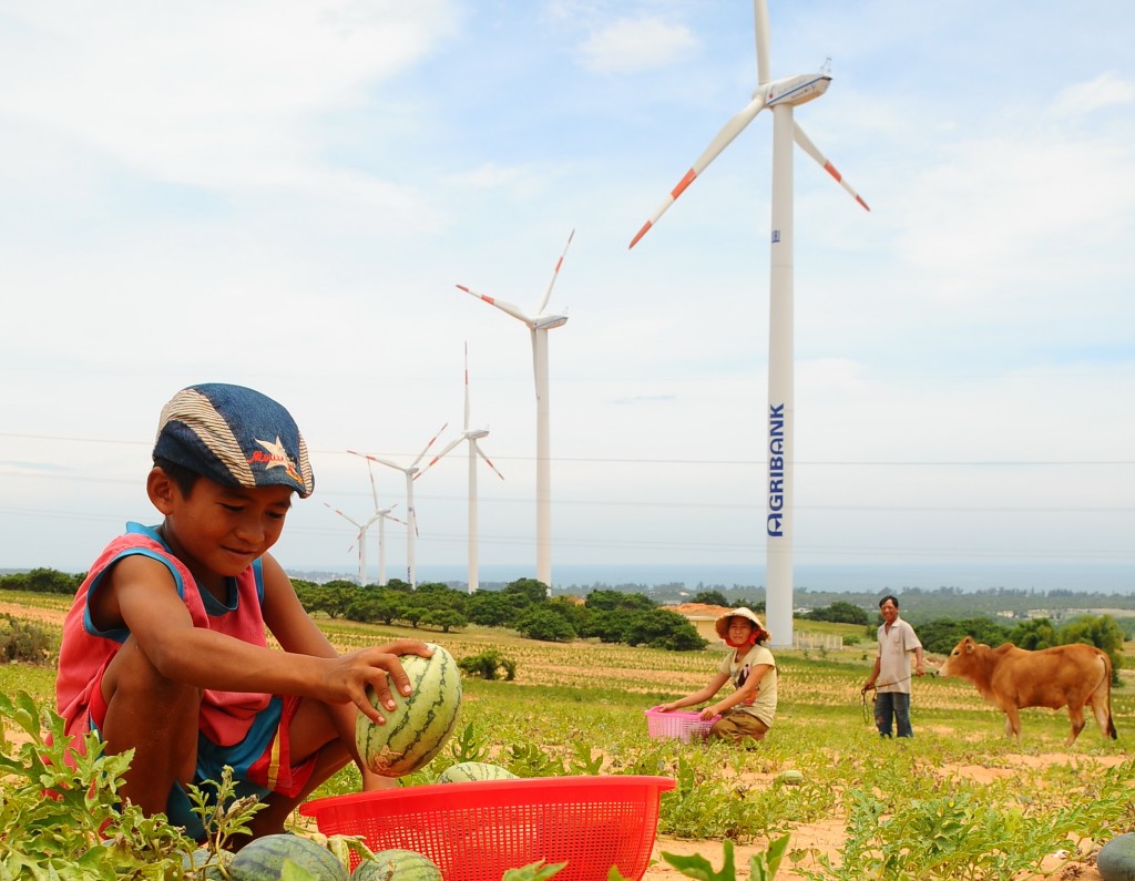 Tại Bình Thuận có 20 trụ điện gió đang sản xuất ra điện hòa vào lưới điện quốc gia. Con số này vẫn quá ít - Ảnh: T.T.D.
