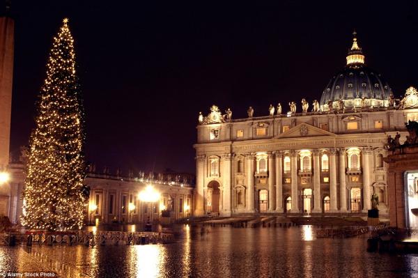 Cây thông Giáng sinh Vatican đặt tại quảng trường Thánh Peter.