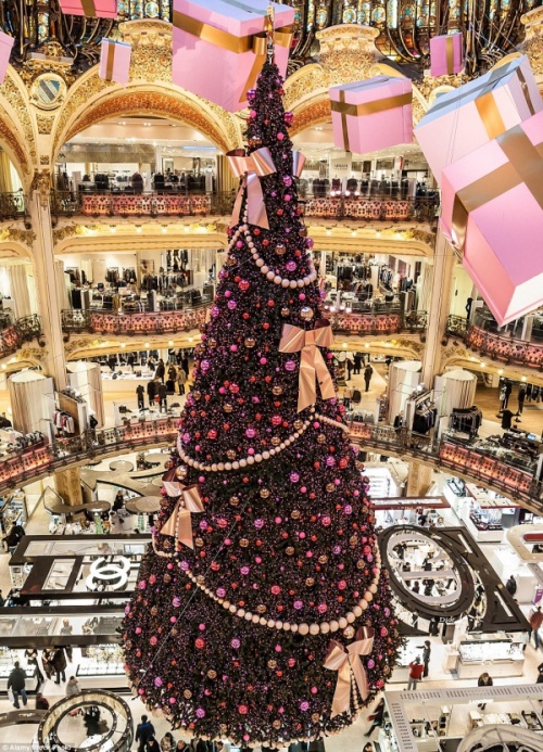 Choáng ngợp với cây thông khổng lồ đặt giữa trung tâm mua sắm Galeries Lafayette tại Paris