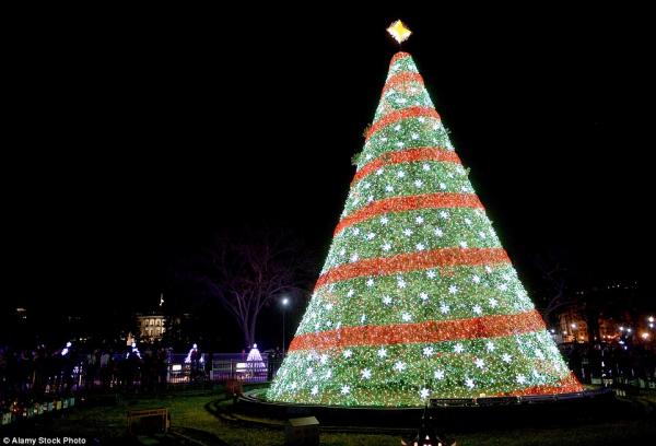 Cây thông Giáng sinh Quốc gia thường đặt ngoài khuôn viên Nhà trắng, năm nay được thắp sáng bởi gia đình tổng thống Obama và nữ diễn viên Reese Witherspoon.