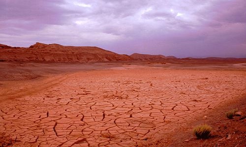 Atacama là sa mạc khô cằn nhất thế giới. Ảnh: Paul R Davies.