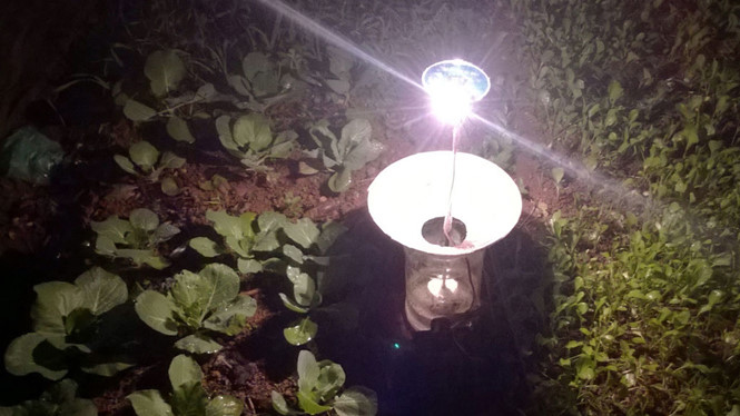 Người dân xã Kiên Mộc dùng đèn năng lượng mặt trời để bẫy côn trùng, sâu bệnh hại rau - Ảnh: Văn Luân