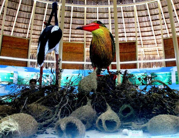 Nhà trưng bày trứng chim – công trình độc đáo tại Vườn Quốc gia Tràm Chim
