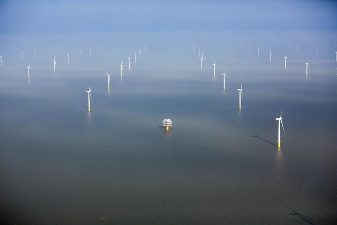 "Cánh đồng" tuabin gió của tập đoàn London Array tại vùng Biển Bắc. Ảnh: AP