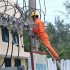 Quảng Ngãi: Tết này xã đảo An Bình sẽ có điện