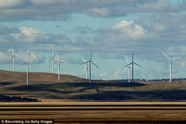 Các nhà khoa học cho rằng những tua bin gió khổng lồ dùng để phát điện sẽ sớm được thay thế bằng các cây nhân tạo không lá mini. 