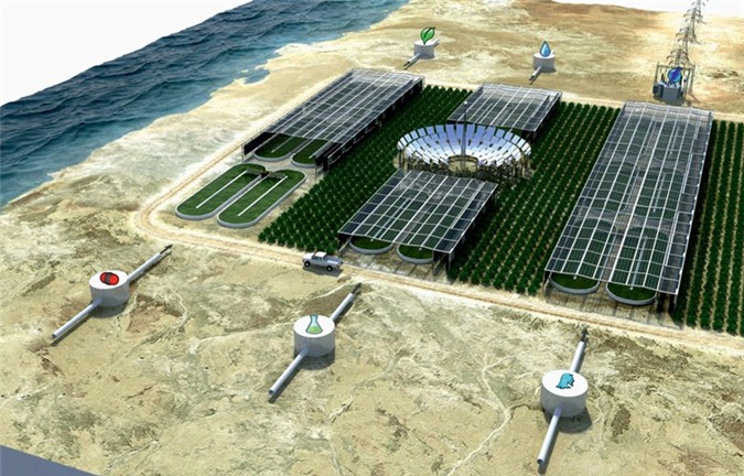 Theo đó năng lượng mặt trời sẽ được chuyển hóa thành năng lượng điện, nước biển sẽ được lọc, khử muối, chuyển thành nước ngọt dùng để tưới tiêu, sinh hoạt. Nước biển chưa lọc sẽ được bơm hút phun lên mặt trên của nhà kính, làm mát những nhà kính trồng rau xanh. (Theo Sahara Forest Project).