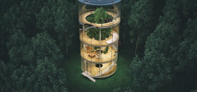 Giấc mơ ngày bé của bạn sẽ trở thành hiện thực với ngôi nhà cây bao kính này