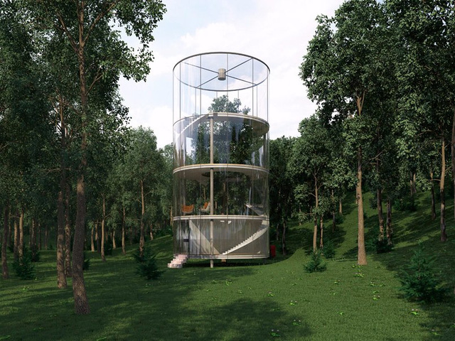 Ngôi nhà hình trụ cao tới gần 20m bao quanh một cây thông trưởng thành rất có thể sẽ được thi công trong tương lai gần.