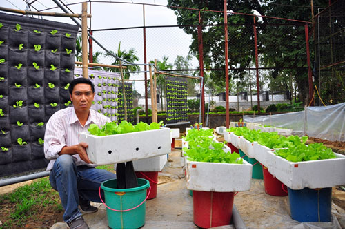 TS Nguyễn Văn Quy giới thiệu mô hình trồng rau sạch bằng phương pháp thủy canh bấc đèn.  ảnh: An Sơn