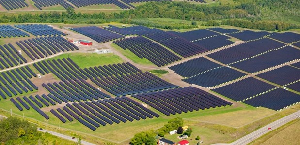 Nông trại năng lượng mặt trời thúc đẩy đa dạng sinh học