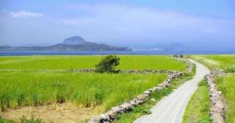 Hàn Quốc xây dựng đảo không có khí thải carbon
