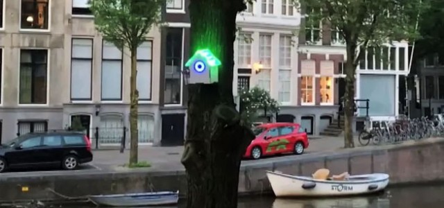Để nâng cao ý thức bảo vệ thành phố, người Hà Lan nghĩ ra tổ chim Wi-Fi độc nhất thế giới