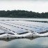 Singapore thử nghiệm hệ thống năng lượng mặt trời nổi lớn nhất thế giới