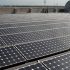 First Solar không bán nhà xưởng, tiếp tục dự án ở Việt Nam