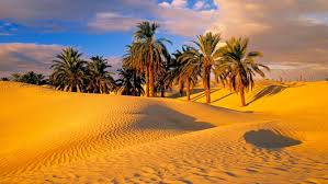 Biến sa mạc Sahara thành “thiên đường xanh”