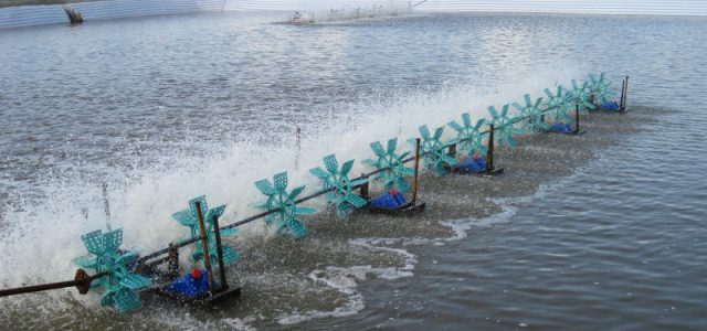 Nhà đầu tư đề xuất đầu tư dự án án nuôi trồng thủy sản công nghệ cao tại Quảng Trị