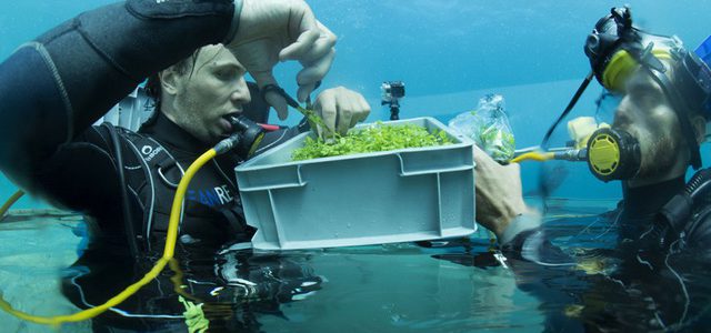“Khó tin” công nghệ nhà kính trồng rau dưới đáy biển!