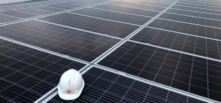 Tập đoàn EVN đã ký hợp đồng mua bán điện gần 2300MW điện mặt trời