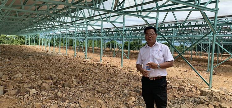 Điện mặt trời kết hợp nông nghiệp công nghệ cao tại Việt Nam: mô hình sinh lợi kép