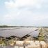 Kết hợp sản xuất nông nghiệp với khai thác năng lượng mặt trời ở Việt Nam