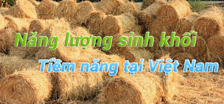 Năng lượng sinh khối – nguồn năng lượng đầy tiềm năng ở Việt Nam