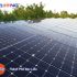 Những lưu ý khi mua tấm pin năng lượng mặt trời